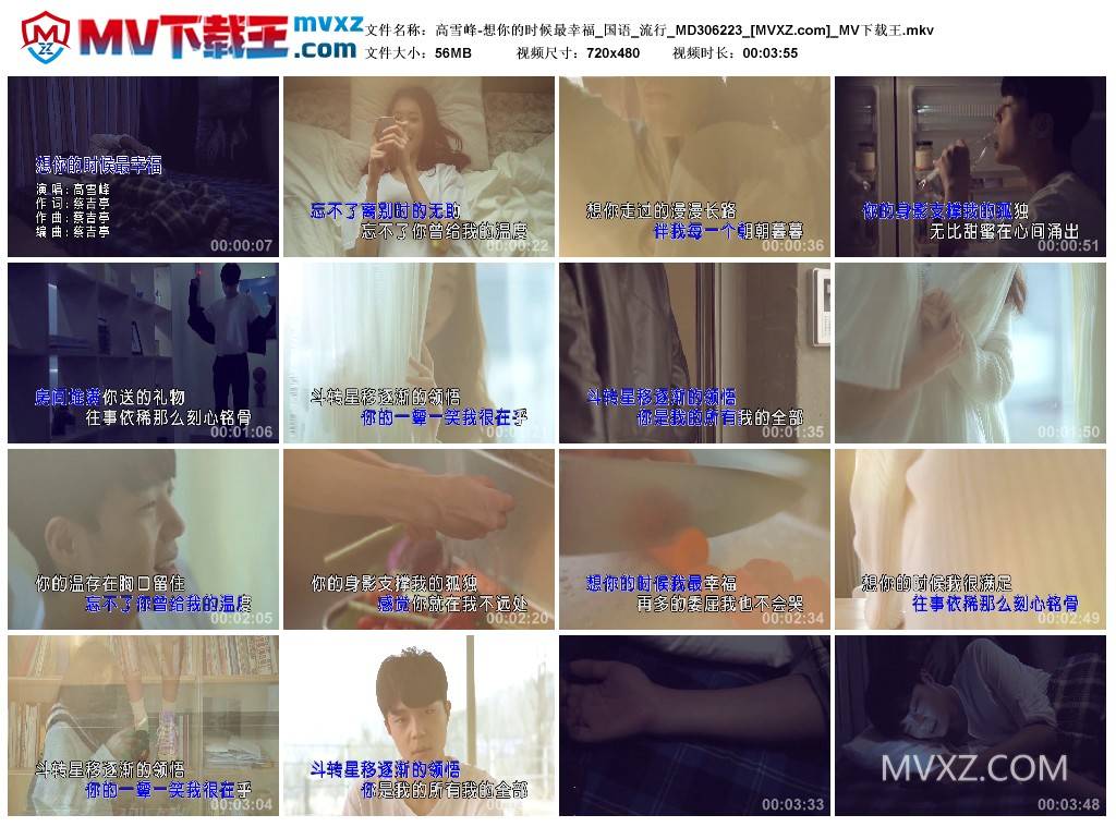 高雪峰-想你的时候最幸福_国语_流行_MD306223